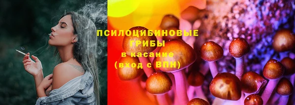 синтетический гашиш Елизово