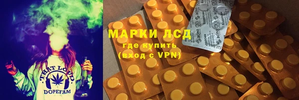 ПСИЛОЦИБИНОВЫЕ ГРИБЫ Алексеевка