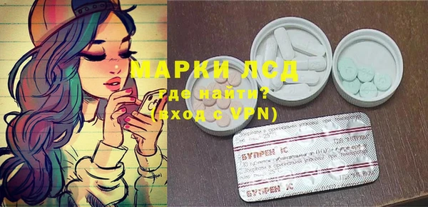 прущие грибы Алзамай