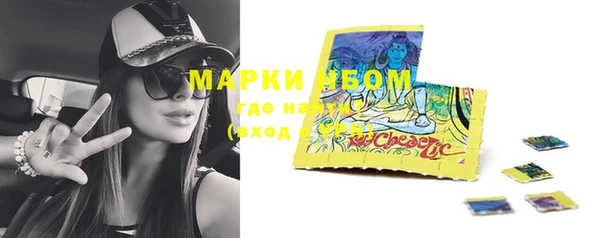 ПСИЛОЦИБИНОВЫЕ ГРИБЫ Алексеевка