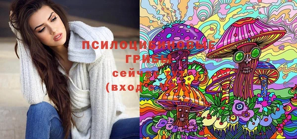 твердый Краснотурьинск