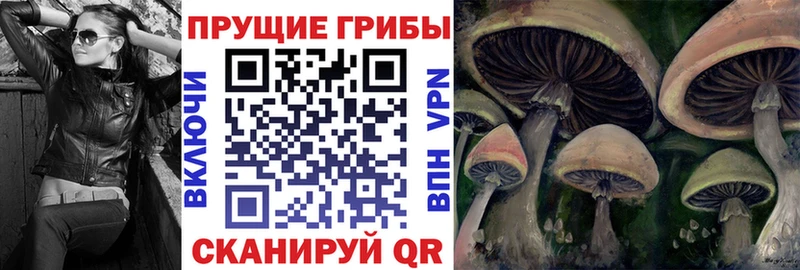 цены наркотик  Заозёрный  Галлюциногенные грибы прущие грибы 